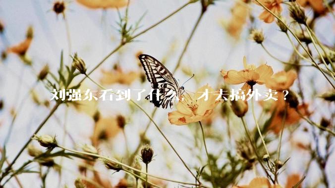 刘强东看到了什么,才去搞外卖?
