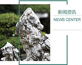 金厂镇
